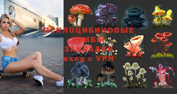 spice Лихославль