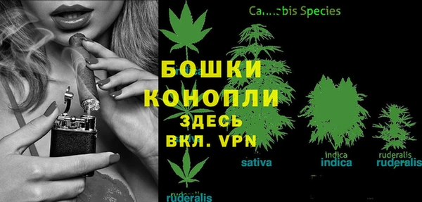 таблы Лиски