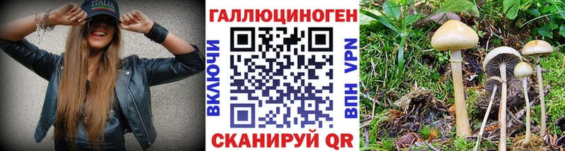 где продают наркотики  Разумное  Псилоцибиновые грибы Magic Shrooms 